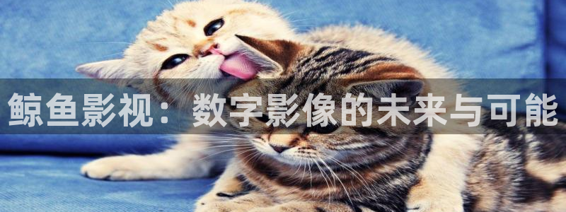 策驰影院影院影院