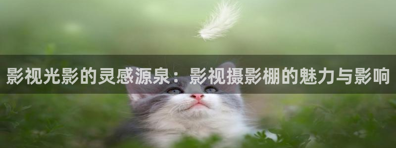 罚罪40集全免费播放策驰影院