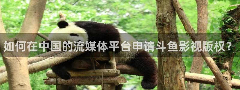 免费追剧大全策驰影院