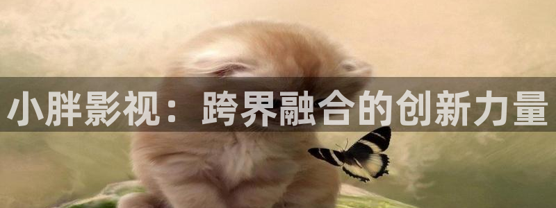 策驰影院免费策驰2023