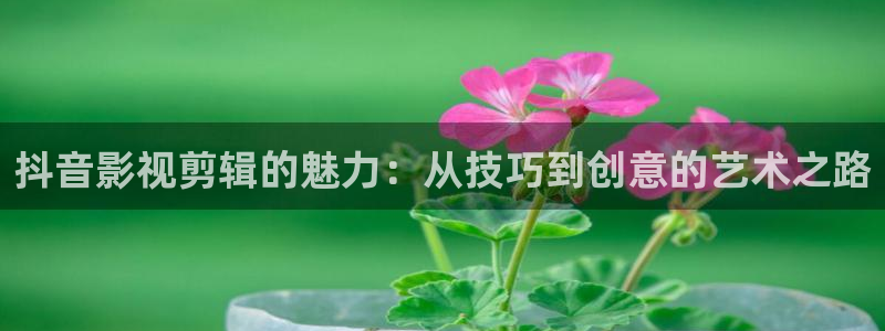 天意在线观看策驰影院