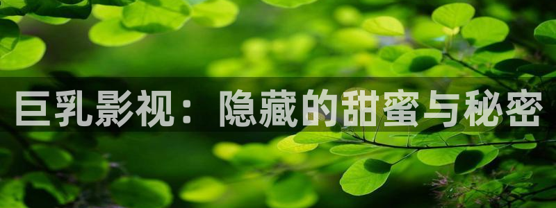 司藤策驰影院电视剧免费