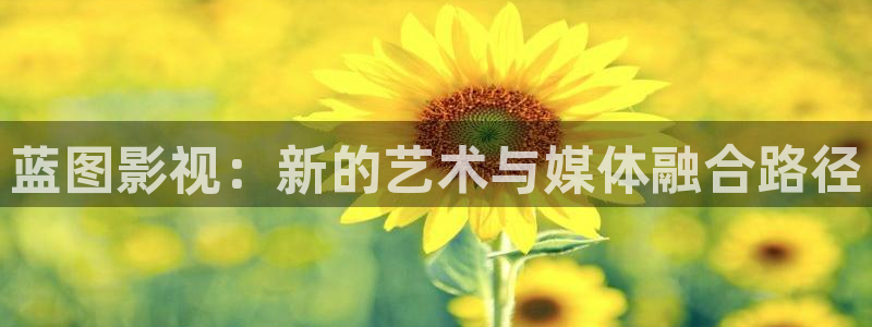 猎罪图鉴2策驰影院在线观看