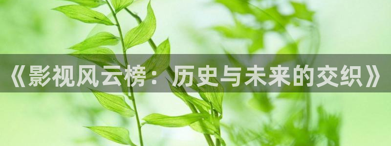 白月梵星电视剧策驰影院