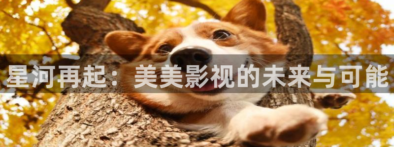 策驰影院电视剧免